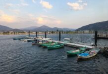 Türk Askerî Kültüründe At Silah ve Sanatın İzleri